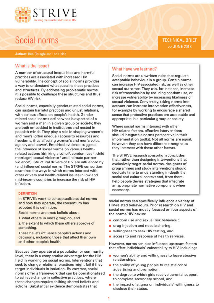 Thematic brief – social norms.